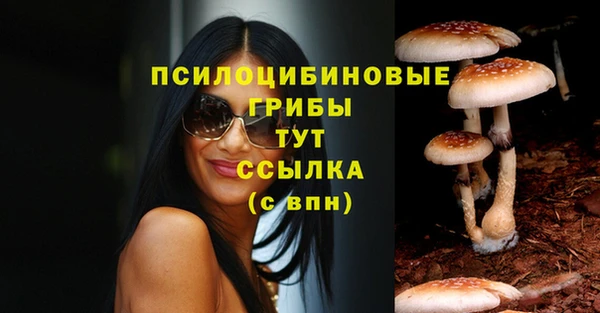 винт Надым